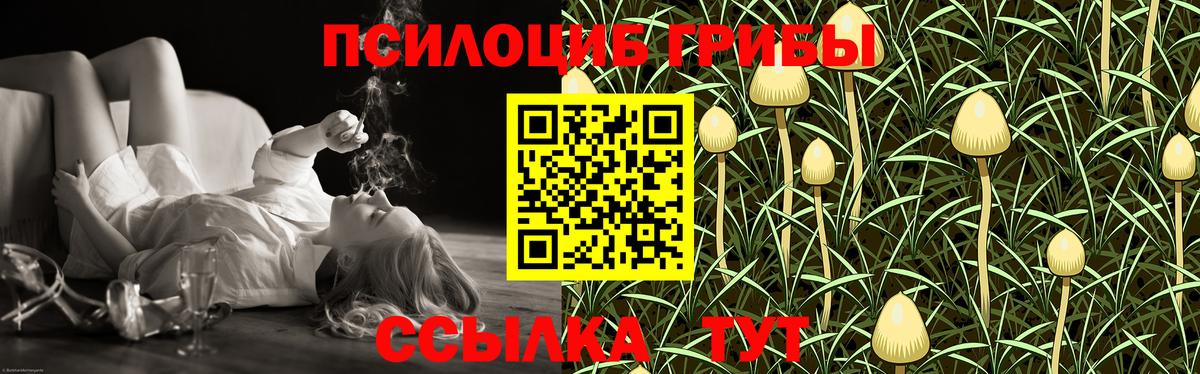 Псилоцибиновые грибы мицелий Верхняя Пышма
